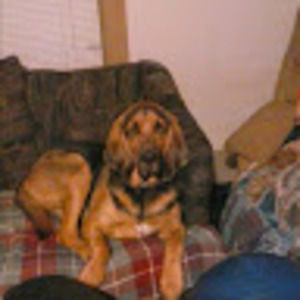 Meet your Posher, Regina